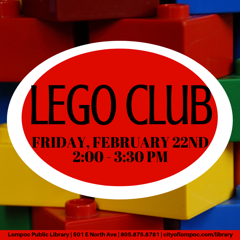 Feb Lego Club