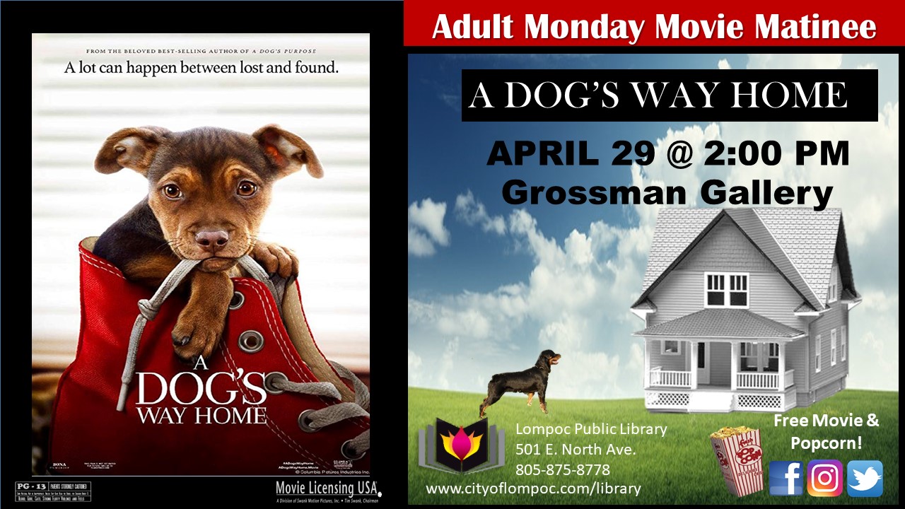 A dog's way discount home free full movie