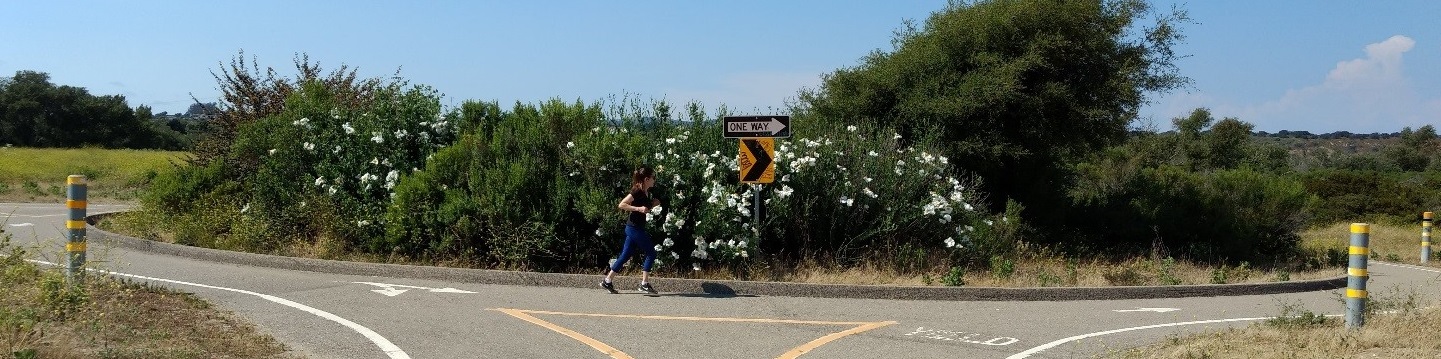 Roundabout Bikepath Runner