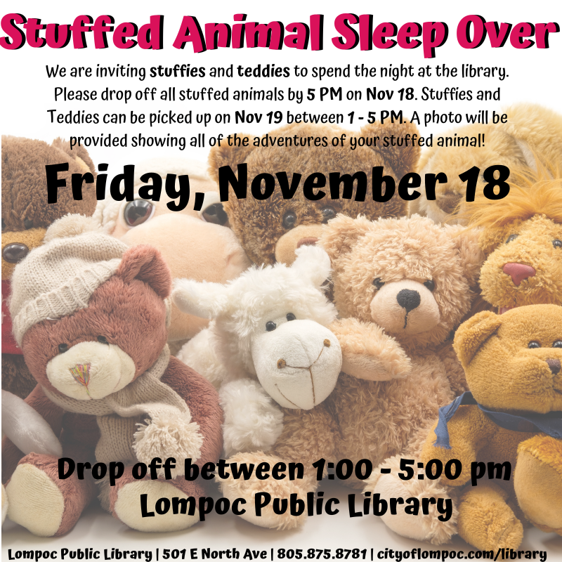 2022 Stuffed Animal Sleep Over