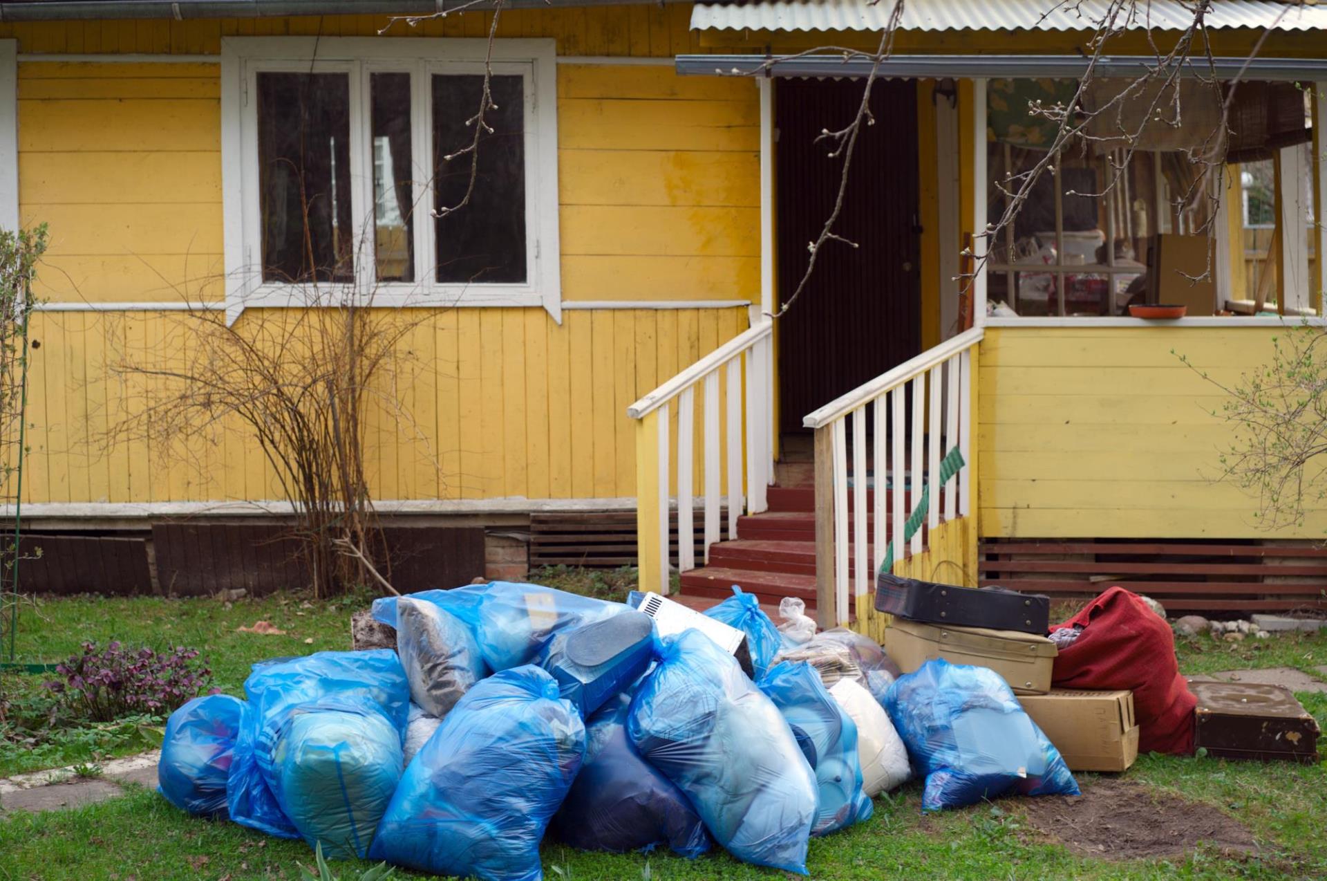 pile of yard trash