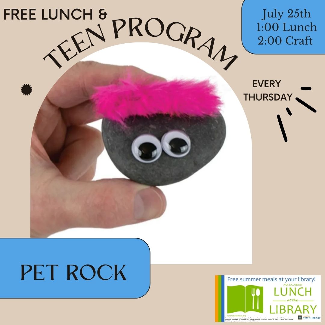 SRP Teen Pet Rocks