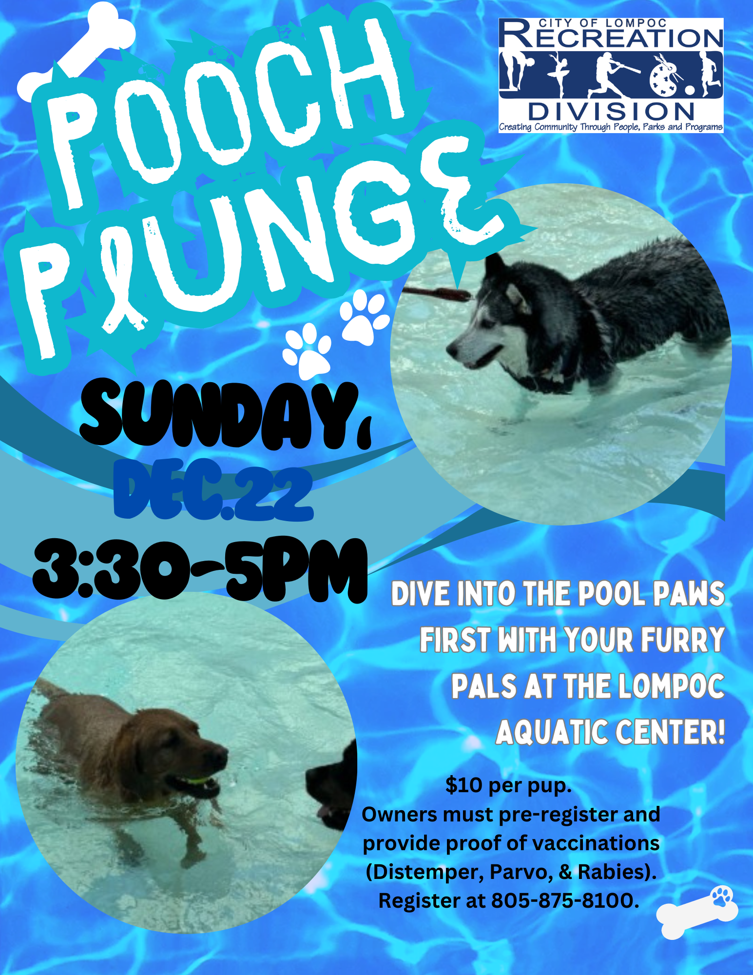 Pooch Plunge Dec.